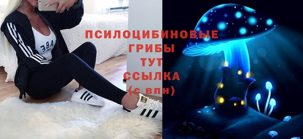 PSILOCYBIN Волоколамск