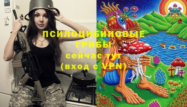 PSILOCYBIN Волоколамск