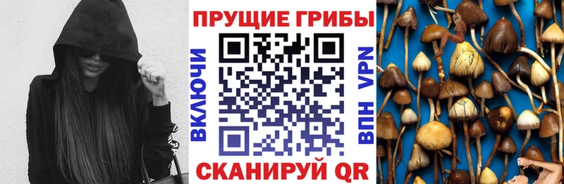 Галлюциногенные грибы Cubensis  Донецк 